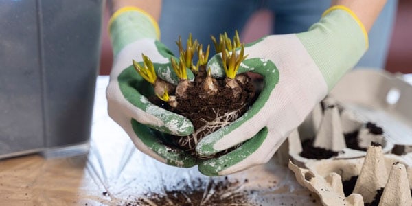 Conseil jardinage Rambouillet