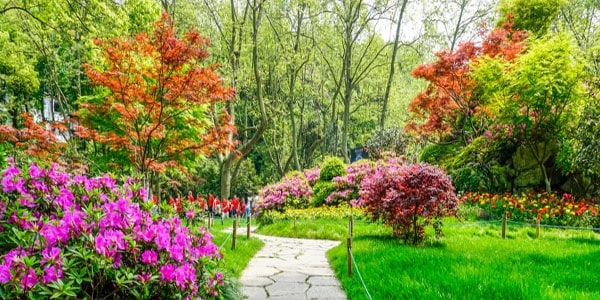 Création de jardin à Rambouillet